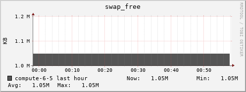compute-6-5.local swap_free